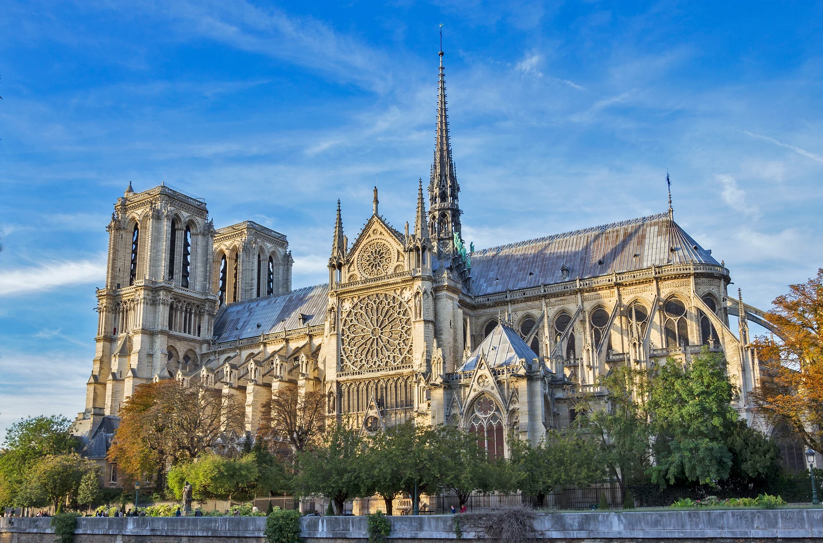 Cathédrale Notre-Dame de Paris